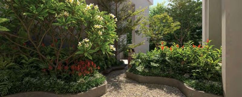 A landscaped courtyard at Myscape Palma with curved planter edges, gravel paths and frangipani